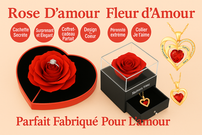 Pack Colliers + Bagues